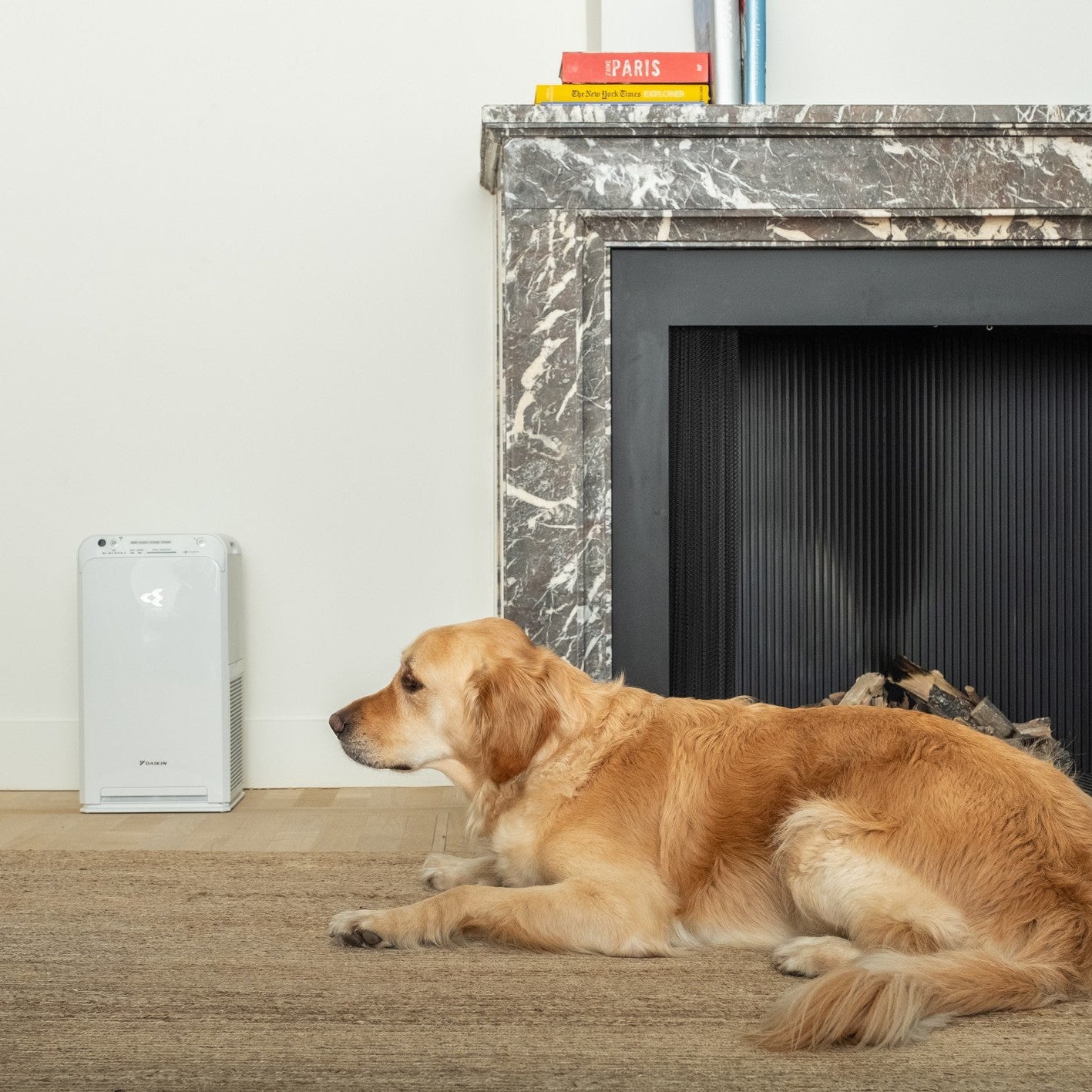 Daikin Prečišćivač vazduha MC55W
